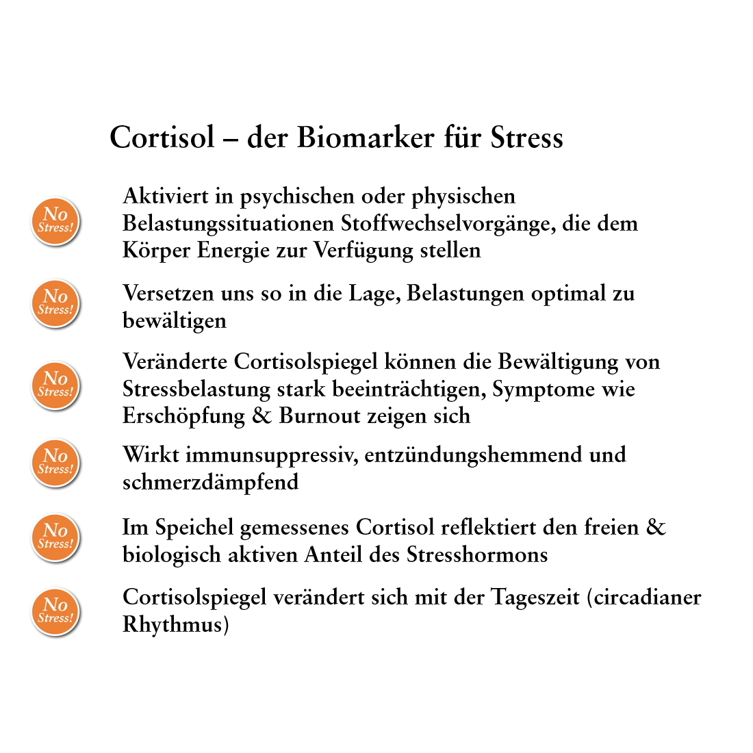 Stressprofil BASIC – Bild 4